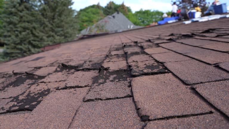 Fast & Reliable Emergency Roof Repairs in Cressona, PA